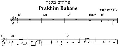 Prakhim תווים לשירים ישראלים, תווים ללימוד נגינה, תווים ללימוד נגינה בפסנתר ...